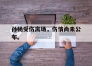 cq9电子在线下载-孙杨受伤离场，伤情尚未公布。